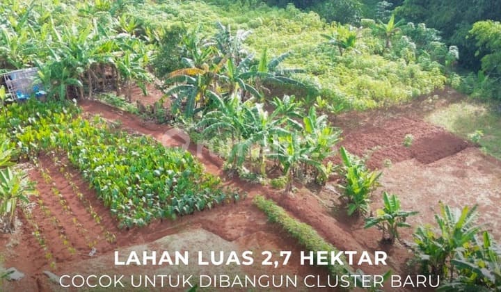 Fast Sale / Jual Cepat Tanah Lahan Luas 2,7 Ha Pondok Cabe Tangerang Selatan Cocok untuk Dibangun Cluster Baru - Ocasa4850