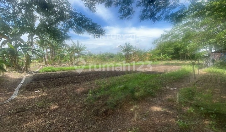 Dijual Tanah Padat Lokasi Pinggir Jalan Cibitung Bekasi