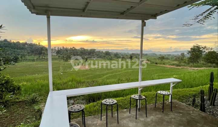 Dijual Cepat (Bu) Area Usaha + Villa + Sawah Produktif Cocok untuk Investasi & Wisata Alam di Tenjolaya Bogor
