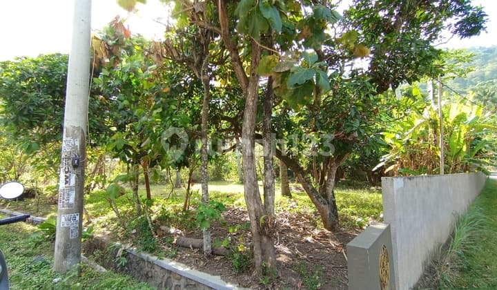 Dijual Tanahdatar Murah Lokasi Premium Senggigi di Lombok Bali