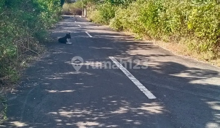 For Sale: Solid and flat land by the roadside in Ungasan, South Kuta, Bali.