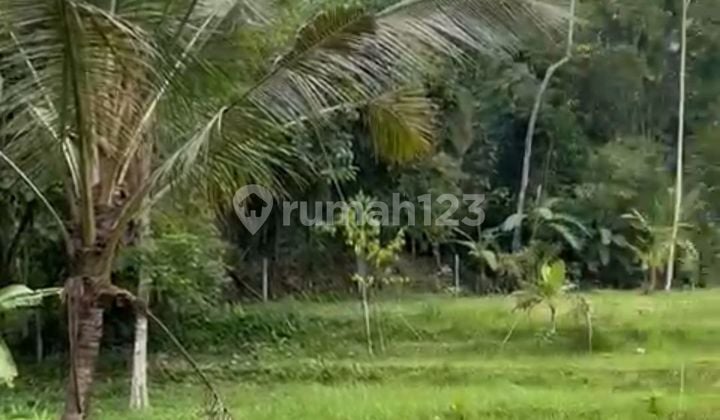 Dijual murah sekali tanah luas dan datar ditabanan bali