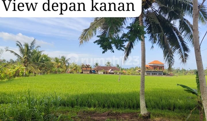 Dijual Tanah Murah Lokasi Premium Tabanan Bali