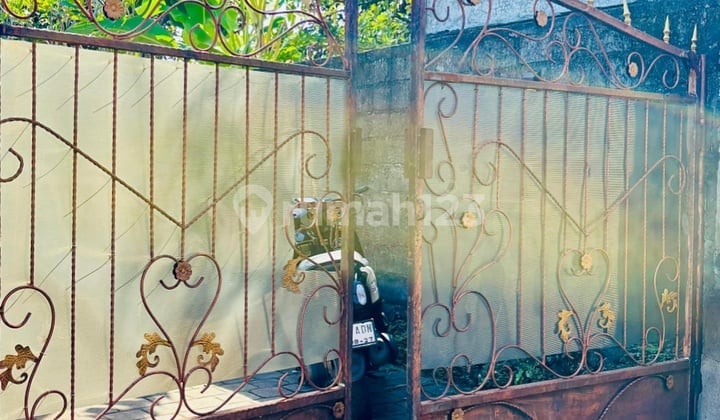 Dijual Rumah Luas Ddan Murah Itengah Kota Denpasar Bali