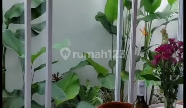 For Rent Villa Furusha New Brand Canggu Bali