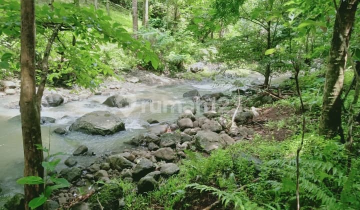 Dijual Tanah Luas Murah Dan Subur Di Tabanan Bali