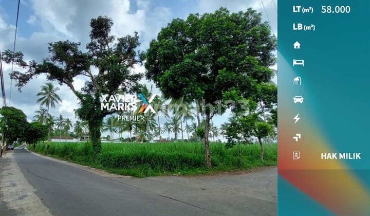Dijual Cepat Tanah Lokasi Strategis Pinggir Jalan Utama Dampit Malang