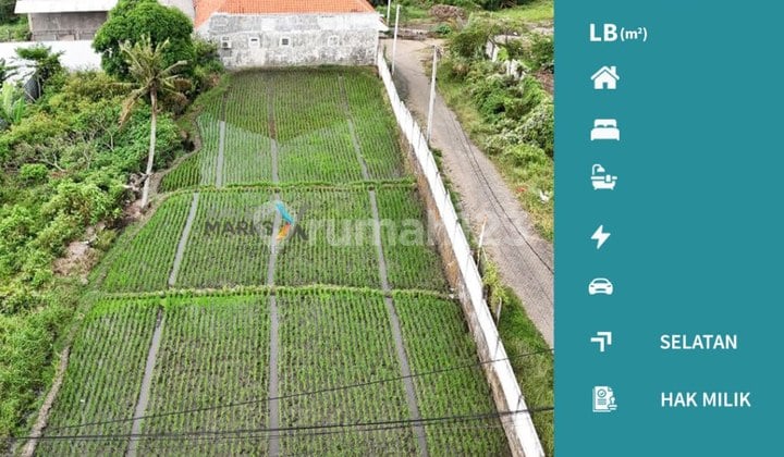 Butuh Cepat Laku Tanah Kavling di KH. Yusuf Tasikmadu Kota Malang