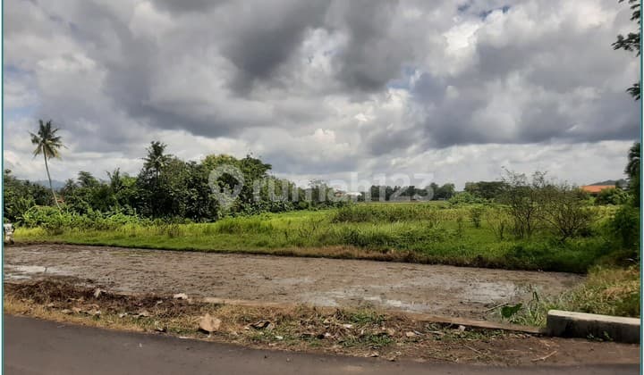 Cuma 4 Menit dari Pasar Godean! Tanah Pekarangan Murah & Legal