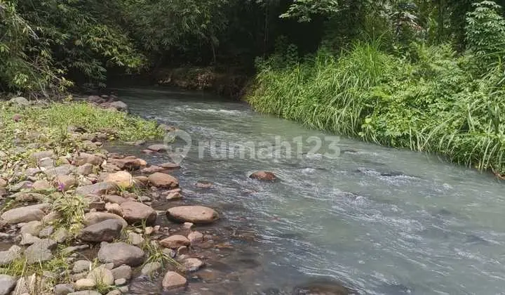 Tanah 53h Di Munte Amurang Cocok Buat Perkebunan Dan Pertanian