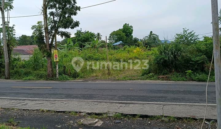 Tanah 9900m2 Jl Raya Manado Bitung Kolongan Pas Buat Gudang