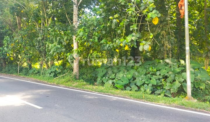 Land 1000m2 on Manado Bitung main road, Tumaluntung village, suitable for warehouse.