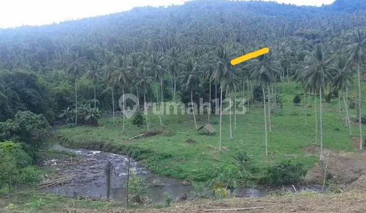 Tanah 75h~120h di desa kaweruan Minahasa Utara