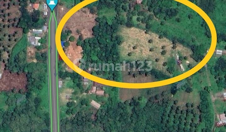 Tanah 9 Hektar Di Jl Wiratama Sukarno Dekat Rs Sentra Medika