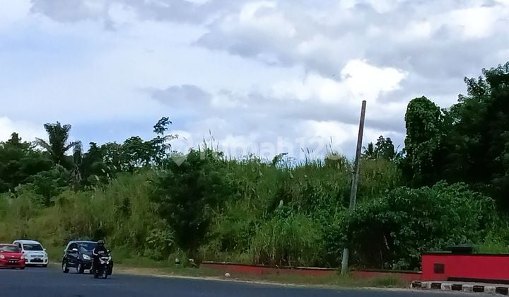 Tanah 11230m2 Di Jl Sukarno Dekat Kantor Pdip