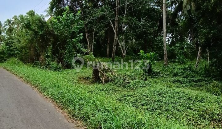 Tanah 6Hektar di Jl Adipura Bengkol Cocok Buat Investasi Perum