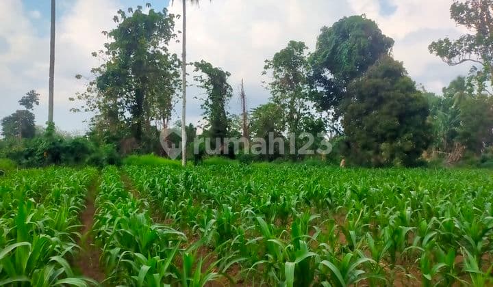 Tanah 936m2 di jl konsolidasi dekat indogrosir