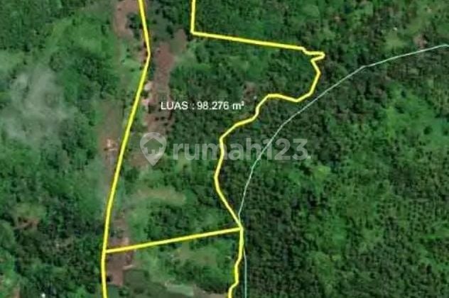Tanah 18H di ring road 1 cocok buat real estate dan investasi