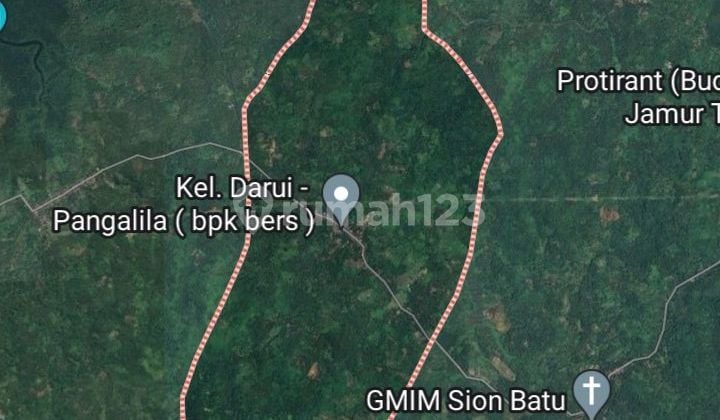 3.8 hectares of land in Werot Likupang is suitable for durian, mango orchards, and others.