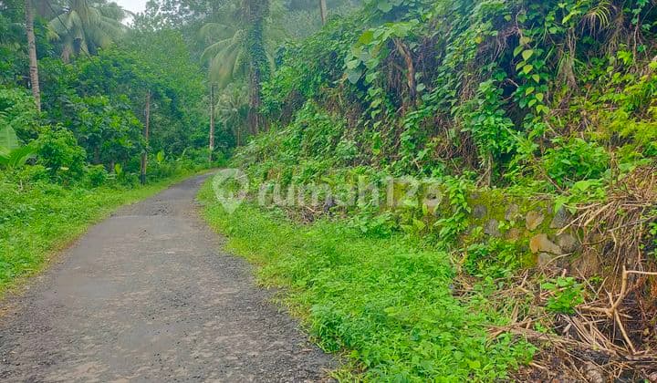 Tanah 1h Jl Raya Pandu Dekat Kampus Harga Miring Cocok Investasi