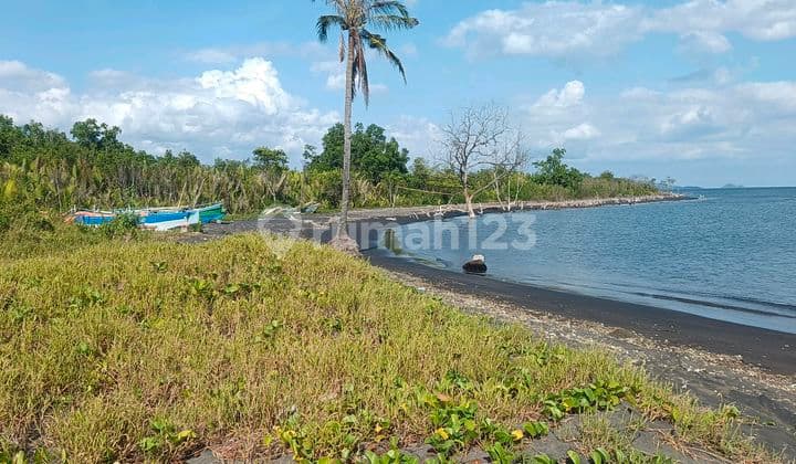 Pelabuhan Luas 2~5 H di Kema Cocok Buat Ekpotir dan Importir