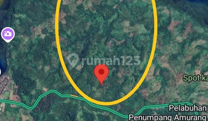 Tanah 70 H Di Jl Trans Sulawesi Amurang Cocok Buat Perkebunan