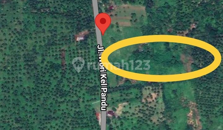 Tanah 6~18hektar Jl Adipura Dekat Petempatan Pandu Harga Miring