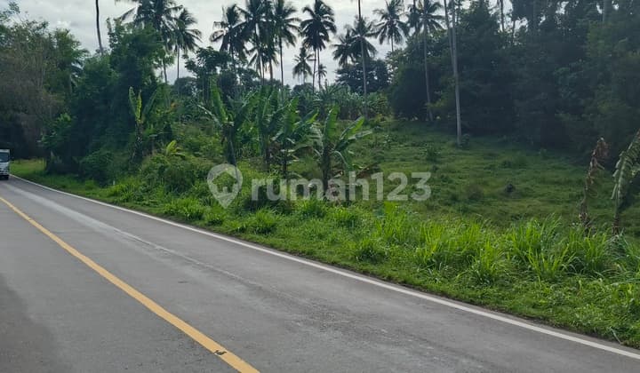 Tanah 10h Jl Raya Manado Bitung Dekat Pintu Tol Kauditan