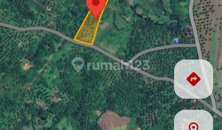 Tanah 11 Hektar Jl Adipura Cocok Buat Perumahan dan Investasi