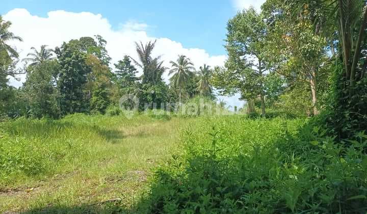 Tanah 1~4 Hektar Di Airmadidi Cocok Buat Gudang Dan Industri