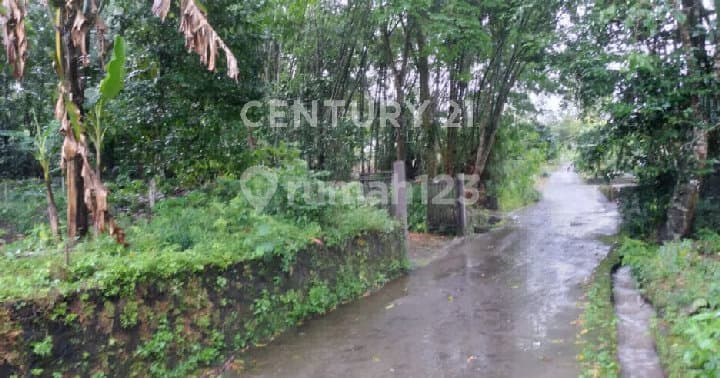 Land for Tourism Business in Palem Sleman Yogyakarta S9559