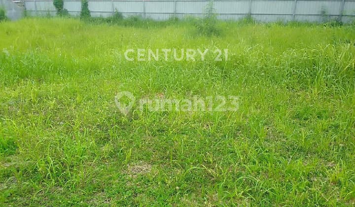 Tanah Lokasi Strategis untuk Perumahan dan Kuliner di Medan S9296