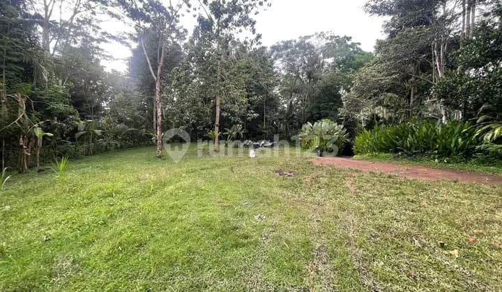 Riverside Land with waterfall view in Bakbakan Gianyar Bali