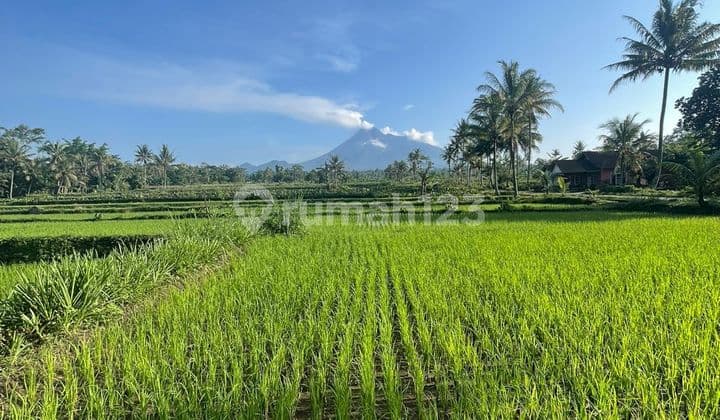 Dijual Tanah Di Jl. Pakem , sleman Jogja.