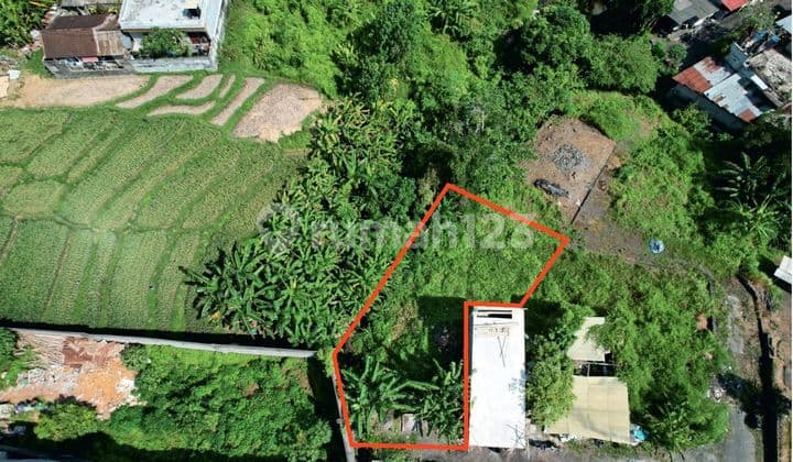 Dijual Tanah kavling 250 m2 Buduk Bali