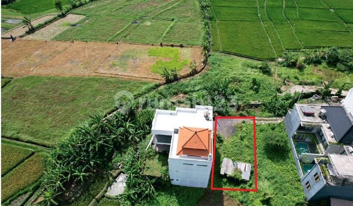 For Sale Small Plot Land 1.6 ara in Tumbak Bayuh Canggu
