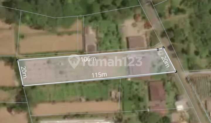 Dijual Tanah Bonus Rumah , Petang Pelaga