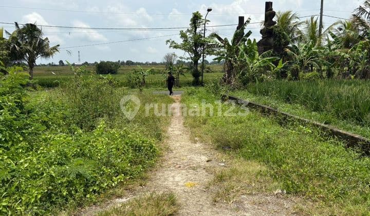 Segera Miliki Kavling Emas Di Pusat Pertumbuhan Badung Area Mengwi