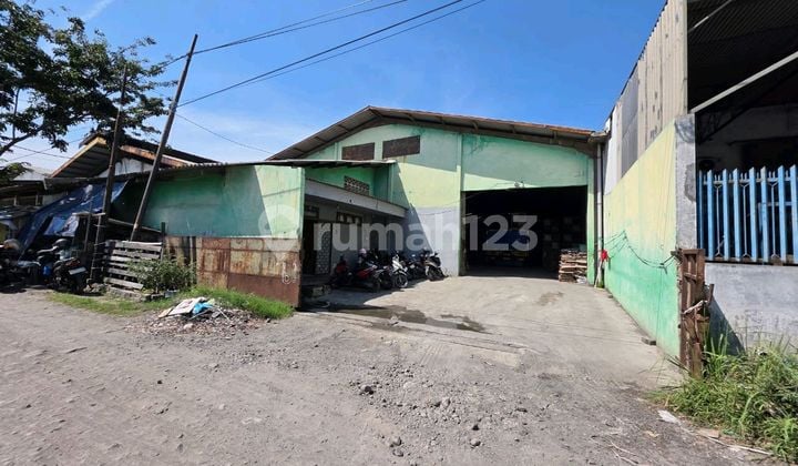 Warehouse for Rent in Lik Kaligawe Warehouse for Rent in Lik Kaligawe