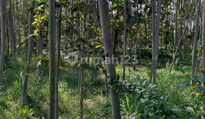 Jual Cepat Tanah Polosiri Bawen