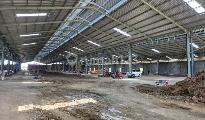 Disewakan Gudang Baru Siap Pakai Januari 2026 Luas 2ha