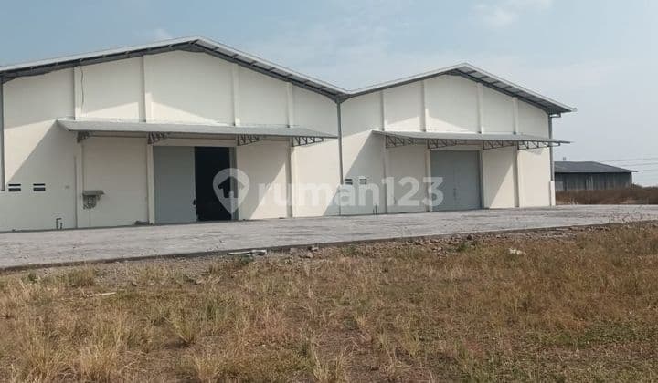 Disewakan Gudang Baru Sayung 960m² Siap Pakai