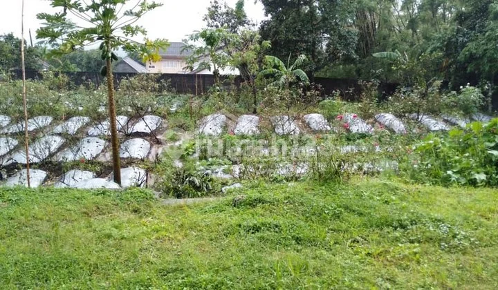 Tanah di Ds Kenteng , Bandungan Wn 4231 Tanah di Ds Kenteng , Bandungan Wn 4231