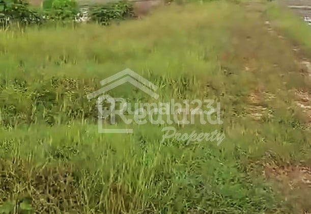 Tanah di Pilangwetan , Dempet Demak Wn 7131