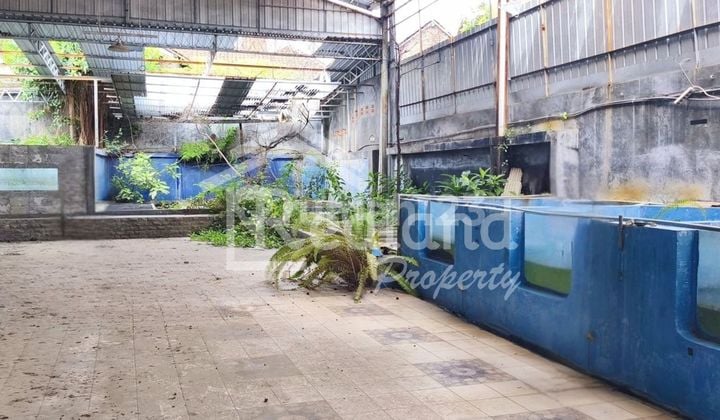 Warehouse in Gajahmungkur Area, Semarang Wn 6294
