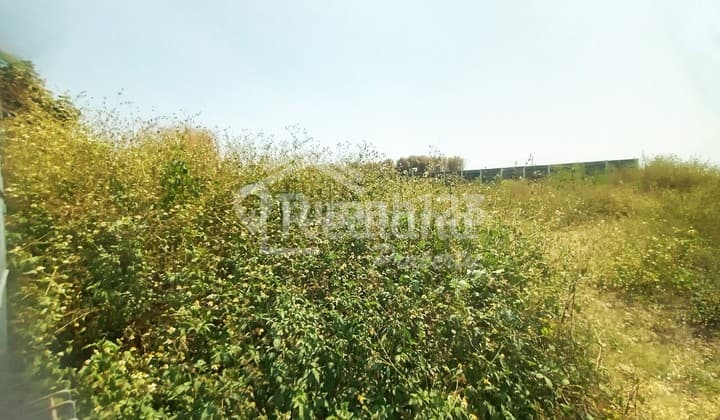 Tanah Rata Strategis Di Mangkang Semarang ( Ln 6954 )