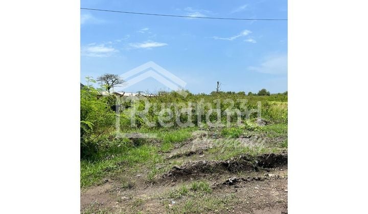 Land on Jl Arteri Kaliwungu, Kendal (Vn 8625)