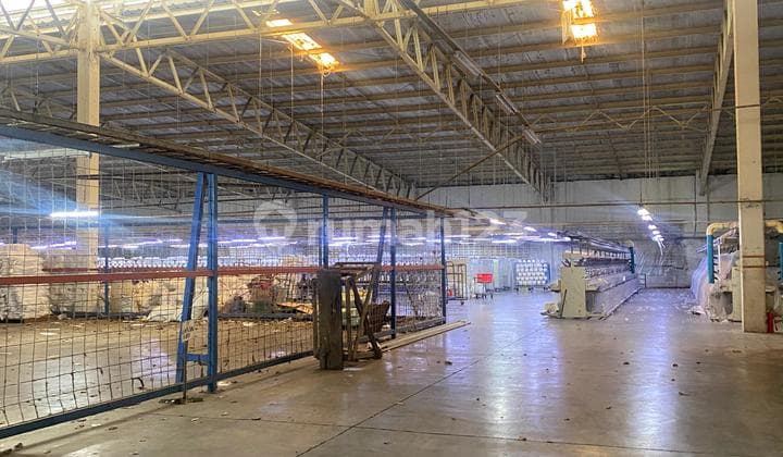 Disewakan Gudang Pabrik Nempl Byd Subang Smartpolitan Bagus Murah