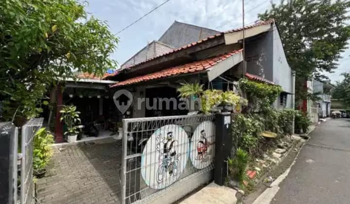 Farah Dengan 4rumah Di Dalamnya.