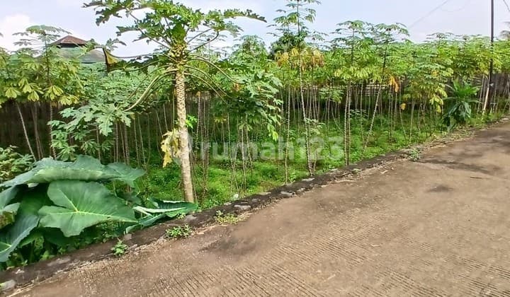 Tanah Murah SHM Jl Raya Cikarawang Dramaga Bogor